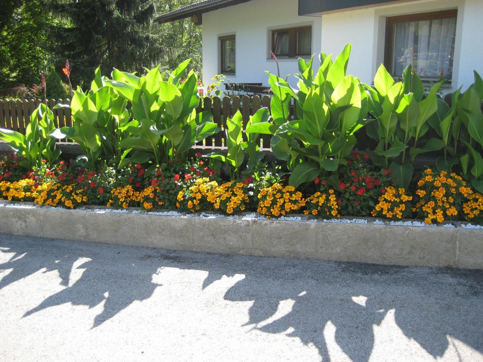 Ferienwohnungen Schleich Nassereith Exterior foto